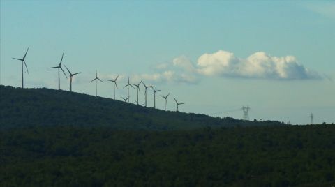 “Yenilenebilir Enerjide Desteğin Devamı Yatırımcı İlgisini Artıracak”
