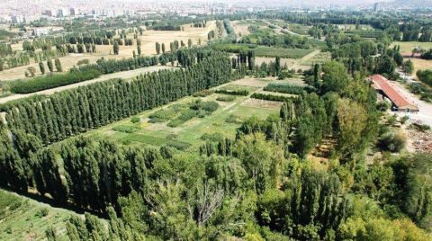 Atatürk Orman Çiftliği Giderek Yok Oluyor