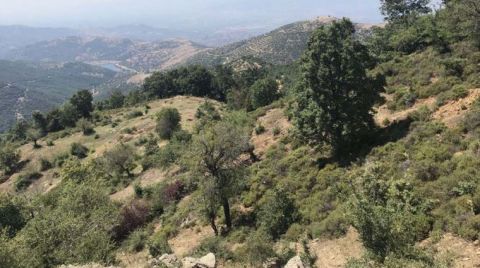 Tarım Alanına JES Projesi