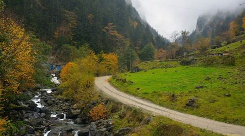 Amasya, Bolu ve Trabzon'da Yaylalar İmara Açılacak