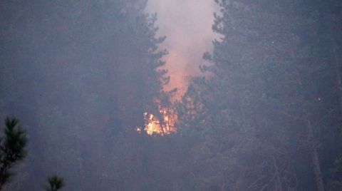 Kastamonu'da Orman Yangını, 2 Köy Boşaltıldı