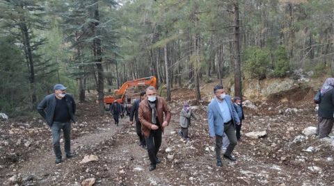 Yüzlerce Ağaç Gece Vakti Kesiliyor