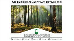 Avrupa Birliği Orman Stratejisi Yayınlandı