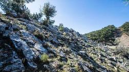 Roma Dönemine Ait Antik Taş Ocağı Bulundu