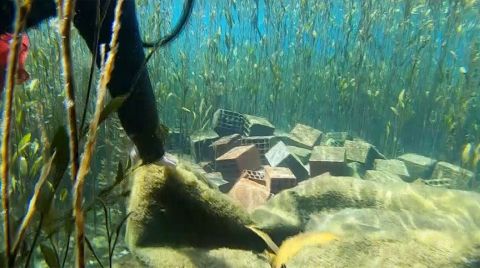 Antalya'nın Su Kaynağı Kırkgöz'de Su Altı Temizliği Yapıldı