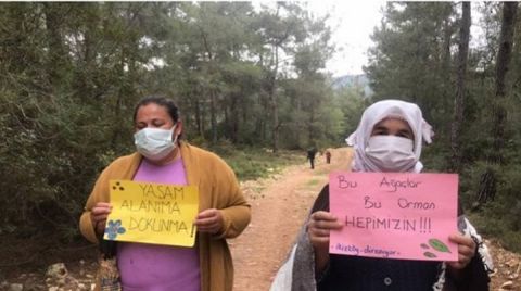 İkizköylü Kadınlar, Ormancıları Durdurdu