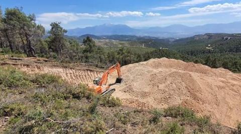 Kekik Tarlaları Otoban için Feda Ediliyor