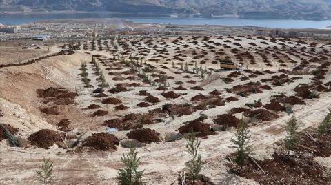 Türkiye'de Çölleşme ve Kuraklıkla Mücadele Çalışmaları Sürüyor