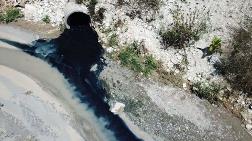 Şamlar Gölü'ne Akan Dereye Kimyasal Atık Karıştı