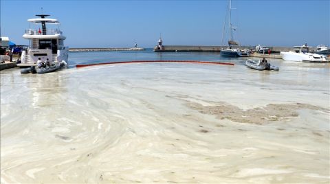 Deniz Kirliliği ve Müsilajla İlgili Halk Ne Düşünüyor?