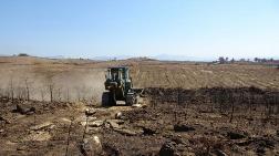 Manavgat'ta Yanan Ormanlık Alanlar Dikime Hazırlanıyor
