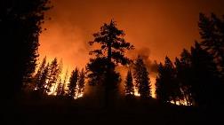 ABD'deki Yangınlar En Büyük Ağaçları Tehdit Ediyor