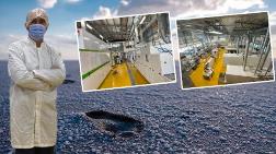 Tuz Gölü Kadar Güneş Paneli Türkiye'nin Enerjisini Karşılar