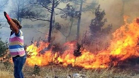 Sayıştay’a Göre, Orman Yangınlarında İhmal Var