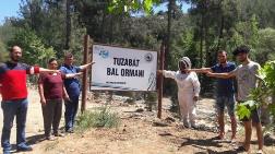 Tuzabat Bal Ormanları Şimdilik Kurtuldu