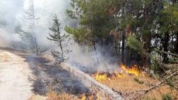 Orman Yangınları Araştırılsın Önerisi Reddedildi