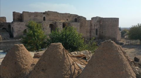 Harran Sarayı'nın 9 Asırlık Salonu Gün Yüzüne Çıkarıldı