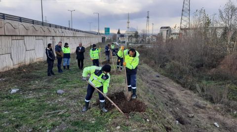 Otoban Gürültüsüne 5 Bin Fidanlık Önlem