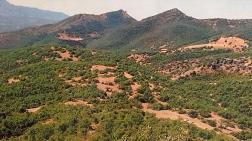 Bilirkişiler, Tunceli’de Doğa Dersi Verdi