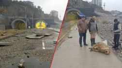 3 Kez Dalgaların Yuttuğu Yol için Kurban Kestiler