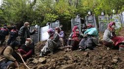 Karar Çıktığında Doğa Kalmayacak