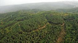 Halk, Orman Vasfından Çıkarılan Arazi için Endişeli