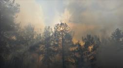 Orman Yangınlarında 'Yapay Zeka' ile Anında Tespit