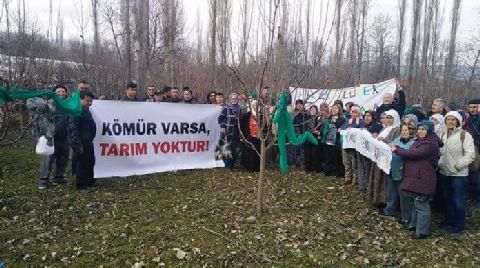 Dereköy’deki Kömür Ocağı için Yürütmeyi Durdurma Kararı