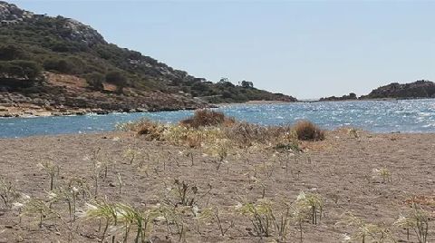 Kıyılar Artık Doğrudan Kiralanamayacak