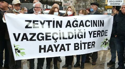 Zeytin Ağaçları için Çadır Nöbeti Başlatıldı