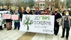 ‘Zeytinleri Kesin Yoksa Biz Keseriz’