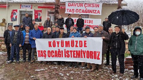 Endemik Bitkileri Barındıran Ormana 'Taş Ocağı' Tepkisi