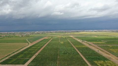 Tarımsal Araştırma Enstitüsünün Arazisi, Rezerv Yapı Alanı Oldu