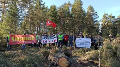 Ayman Yaylası'nda 'ÇED Gerekli Değildir' Kararına Mahkemeden İptal