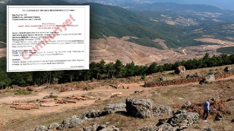 Kaz Dağları’nı Katleden Şirket, Şubesini Kapatmış