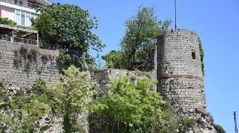 Amasra Kalesi'ne Zarar Veren Ağaç Kökleri Temizlenecek