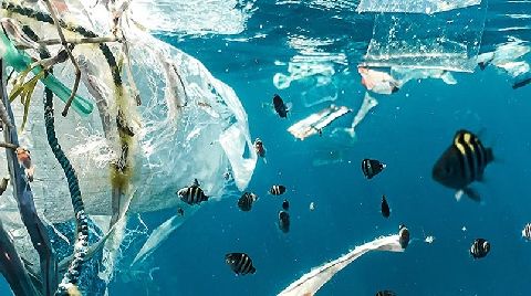 Plastik Atıklar Nedeniyle Okyanuslar Alarm Veriyor