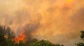 Orman Yangınlarıyla Mücadele Önergesi Reddedildi