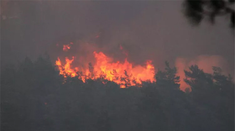 İçişleri Bakanlığı, Valilikleri Orman Yangınlarıyla İlgili Bir Kez Daha Uyardı