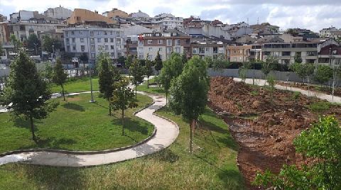 İBB’nin Ağaçları Sulamasına İzin Vermeyen Belediye Ağaçların Sökülmesini İstedi