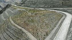 Yeni Yusufeli'nde 300 Dekarlık Alan Ağaçlandırıldı