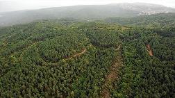 11 İlde Bazı Alanlar Orman Sınırları Dışına Çıkartıldı