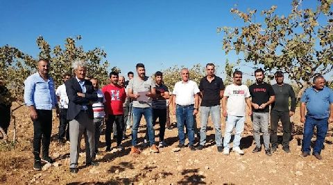 Fıstık Arazilerinin TOKİ’ye Devredilmesine Köylülerden Tepki