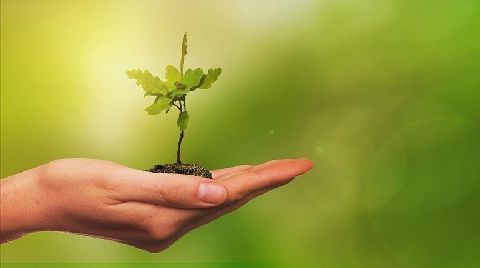 Kamu ve Özel Sektör 2023'te Yeşil Dönüşüm Projelerine Odaklanacak