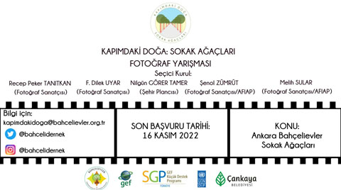 Kapımdaki Doğa; Bahçelievler Sokak Ağaçları