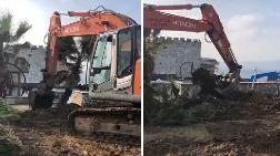 Urla Belediyesi’nin Ağaç Sökmesi Tepki Çekti