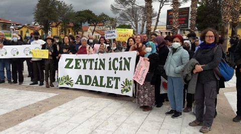 Zeytinliklerin Madene Açılması Yasa Haline Getirilmeye Çalışılıyor