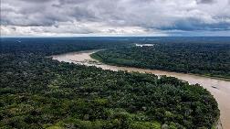 Amazonlar'da Günde 3 Bin Futbol Sahası Büyüklüğünde Orman Yok Oldu