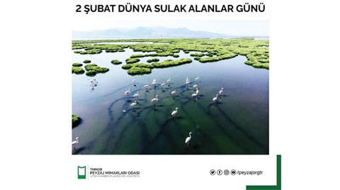 Peyzaj Mimarları Odası Basın Açıklaması | 2 Şubat Dünya Sulak Alanlar Günü