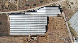 Afyonkarahisar'da Jeotermal Sera Yatırımları Artıyor